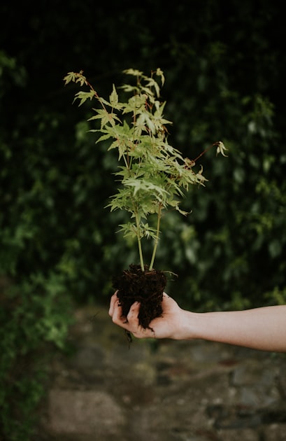 Creativity as a Lifelong Journey